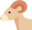 Ram